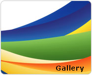 Neel's Gallery